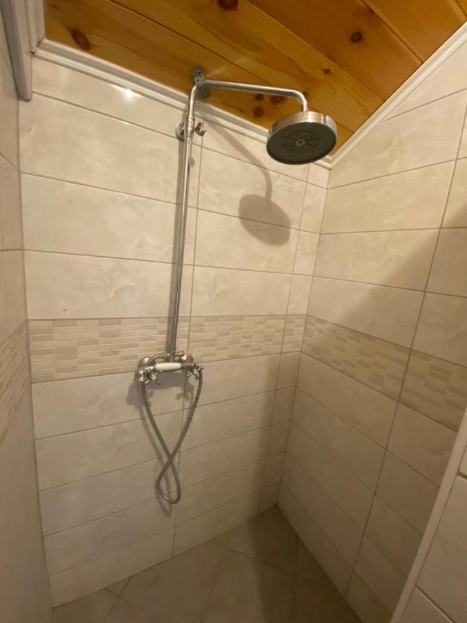 Guest House Pecurica バール エクステリア 写真